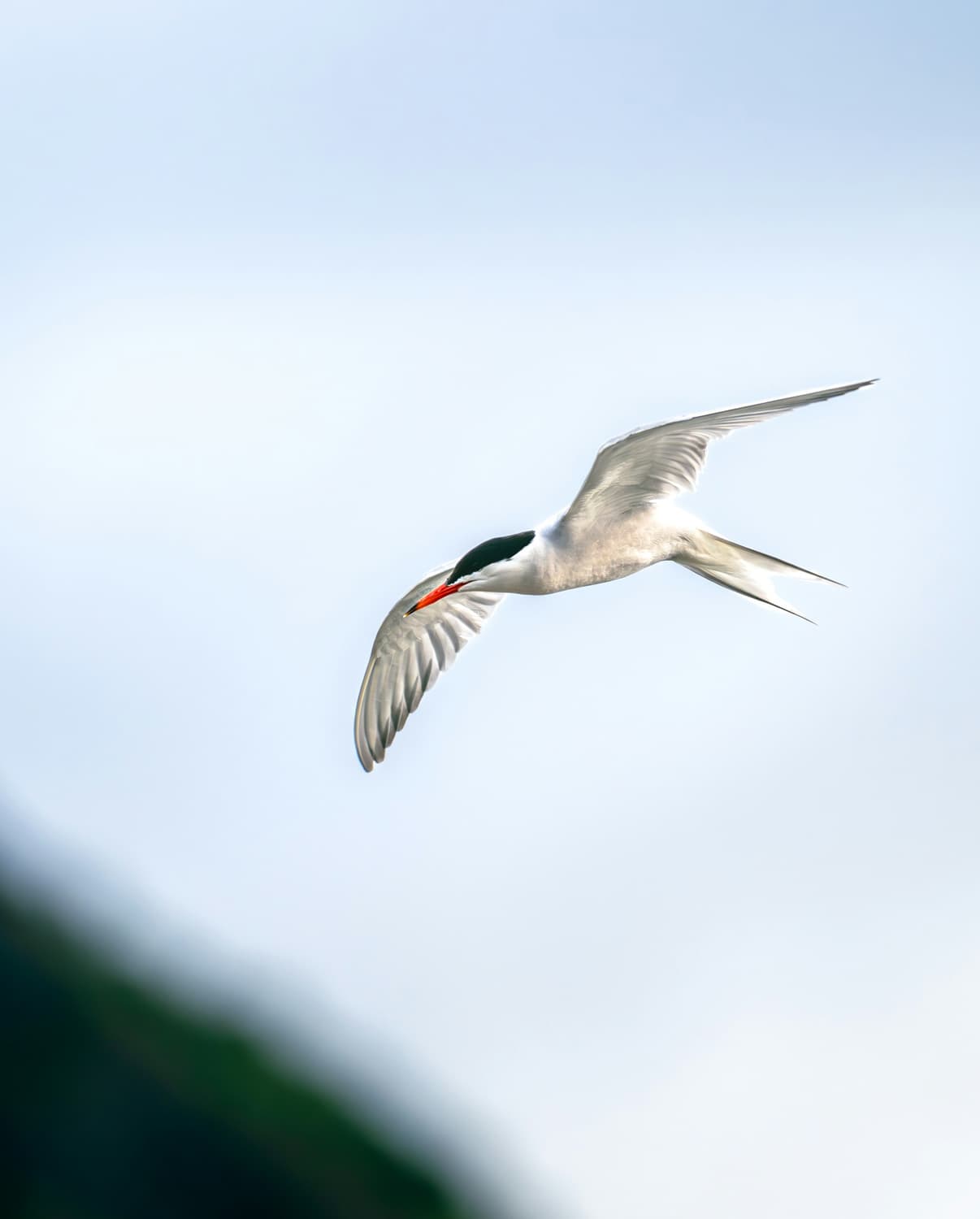 Commercial Team Optimization